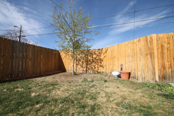 Before the Vegetable Garden Boxes