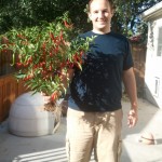 Holding a Cayenee pepper plant Holding a Cayenee pepper plant