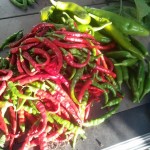 Peppers: cayenne, serrano, and anaheim Peppers: cayenne, serrano, and anaheim